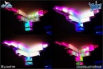 City birds II - 14.1.12 - fotografie 68 z 71